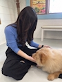 chiko