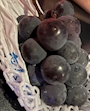 新着ブログ 巨峰🍇✨