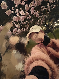 さくら🌸「屋台ふたたび🌸！」