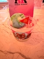 新着ブログ 🍨🤍