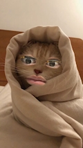 女の子の名前