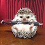 chiko