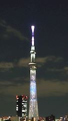 新着ブログ 🗼今日のスカイツリー（3月12日 夕刻）🗼