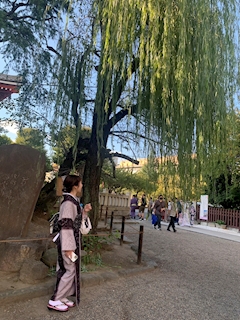 プロフィール写真1・みこと｜BAR Kagura・カグラ - 神楽坂のガールズバー