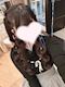 プロフィール写真1・あみ｜Girl's Bar MIMI・ミミ - ときわ台のガールズバー