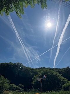 みちる