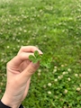 新着ブログ いいことあるかな😌