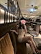 プロフィール写真6・せいら❤️‍🔥Lounge Belle｜Lounge Belle Kashiwa・ベルエ - 柏駅 東口のキャバクラ