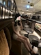 プロフィール写真5・せいら❤️‍🔥Lounge Belle｜Lounge Belle Kashiwa・ベルエ - 柏駅 東口のキャバクラ