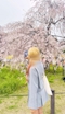 プロフィール写真15・はち|J-PREMIUM 金山・ジェイプレミアム - 名古屋 金山のガールズバー