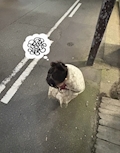 せな