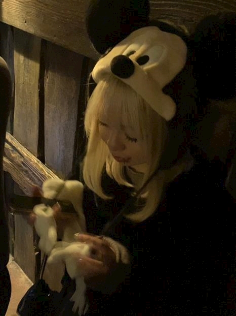 もか 蓮