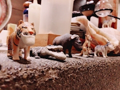 プロフィール写真1・なぎさ｜SPICE/五反田熟女キャバクラ[ポケパラ]