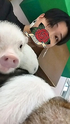 プロフィール写真1・ひろ｜Pizz.・ピッツイ - 川口のガールズバー