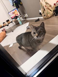 蓮「睡眠欲に勝てない日常」