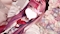 プロフィール写真1・みうㄘゃん|王子様(キミ)がむかえにきてっ!・キミガムカエニキテッ! - 池袋西口のコンカフェ