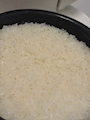 新着ブログ 🍚