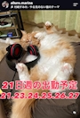 新着ブログ 出勤予定!でました!!