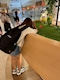 プロフィール写真1・みこ｜Girls Bar FORCE・フォース - 四街道のガールズバー