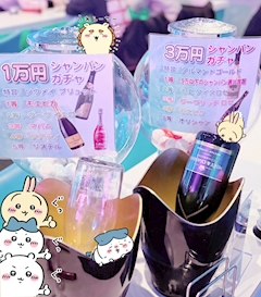 ãããã£ãŒã«åç10ã»ðªœð«§âð€ðŒãŸããðªœð«§âð€ðŒïœTeddy&Coã»ããã£ã¢ã³ãã³ãŒ - è¥¿è¹æ©ã®ã¬ãŒã«ãºããŒ