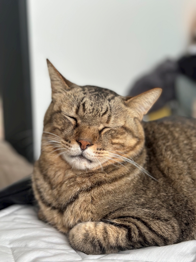 プロフィール写真7・べる　はちくろ｜