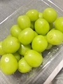 新着ブログ フルーツは何がすき?