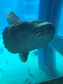 プロフィール写真3・ちみちみ｜Girl's Bar A L'AISE 松山店・アレーズ - 松山市のガールズバー