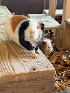 プロフィール写真3・なつき｜Cafe & Bar PENTHOUSE・ペントハウス - 春吉・西中洲のガールズバー