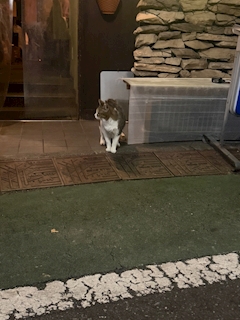 れん