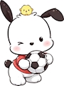 chiko