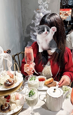 最近ブログを始めた女の子