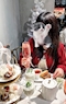 プロフィール写真1・なぎさ|NOTHING Bar Lounge・ナッシング - 銀座のガールズバー