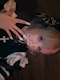 プロフィール写真3・兎遊(うゆ)さん♥|クズなお嬢様と僕・クズナオジョウサマトボク - 秋葉原のコンカフェ