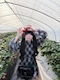 プロフィール写真5・ましろ｜池袋 コンカフェ・ニノ