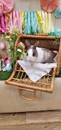 新着ブログ ,,>᎑<,,
