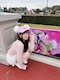 プロフィール写真5・みお|American Stylish Lounge CanCan・カンカン - 上野のキャバクラ