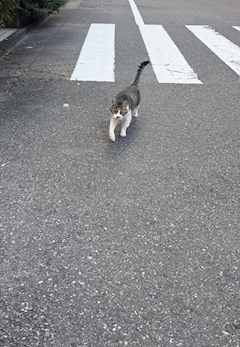うみ「めっちゃ寝た😵‍💫」