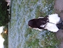 ゆい