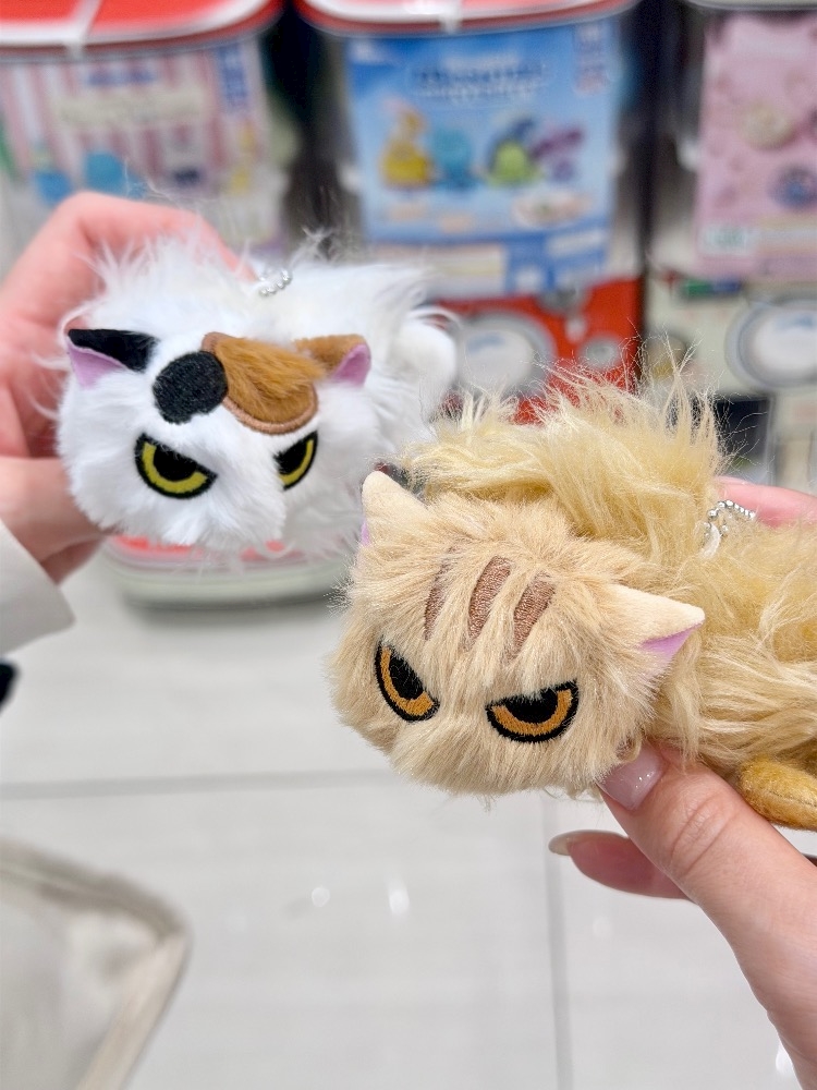 なつかない猫 3匹め🐱 - さき꜀(^..^꜀)꜆੭♡ - Mrs.J 池袋・ミセス