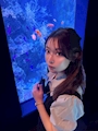 ひな