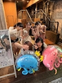 新着ブログ ラストデイ!🌻
