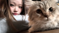 プロフィール写真2・あゆ｜Dahlia・ダリア - 関内・福富町のパブ/スナック