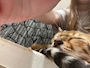 新着ブログ 19:30~