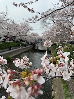 プロフィール写真1・りみ｜居酒屋×Snack じゃりんこ錦・ジャリンコ ニシキ - 名古屋 錦のスナック