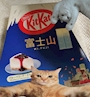 chiko