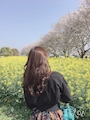 凛花