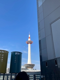 ひかり