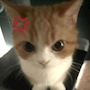 てん