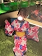 プロフィール写真3・みゆ‪ ‪{ CLUB Vivi }｜CLUB Vivi・ビビ - 門前仲町のキャバクラ