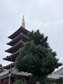 新着ブログ おはよう世界